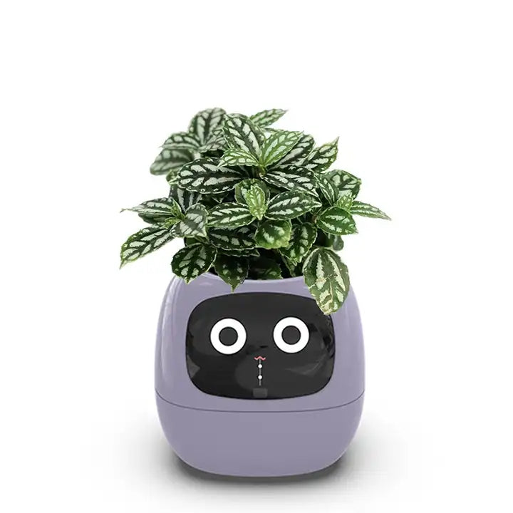 PlantBuddy™ | Slimme Plantenpot