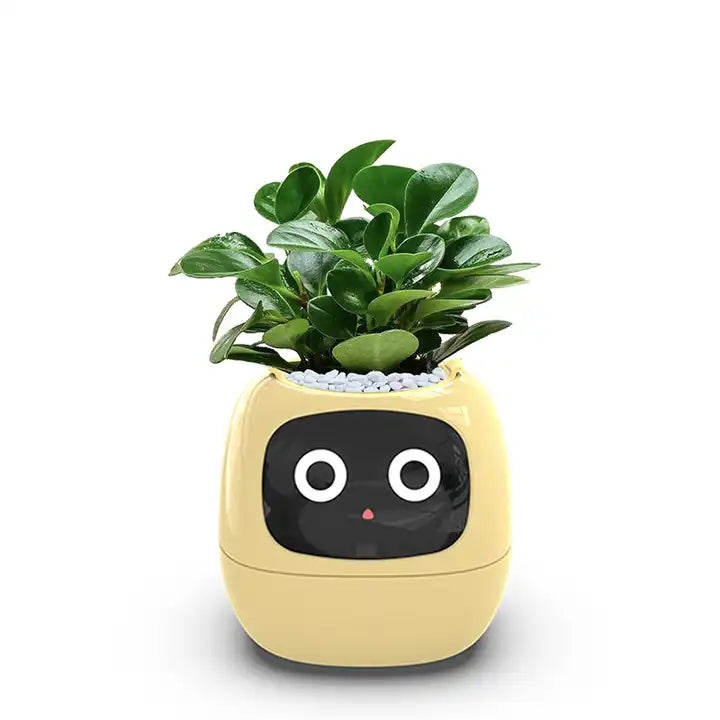 PlantBuddy™ | Slimme Plantenpot