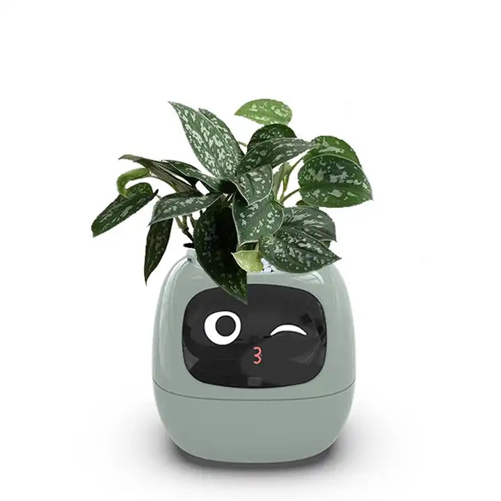 PlantBuddy™ | Slimme Plantenpot