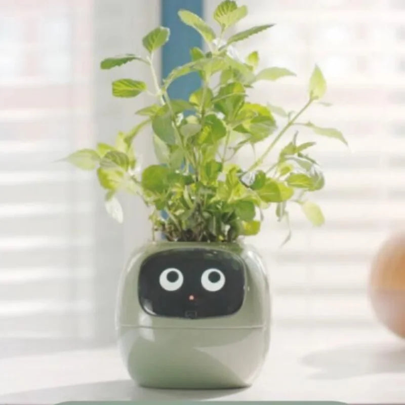PlantBuddy™ | Slimme Plantenpot