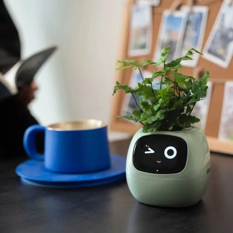 PlantBuddy™ | Slimme Plantenpot