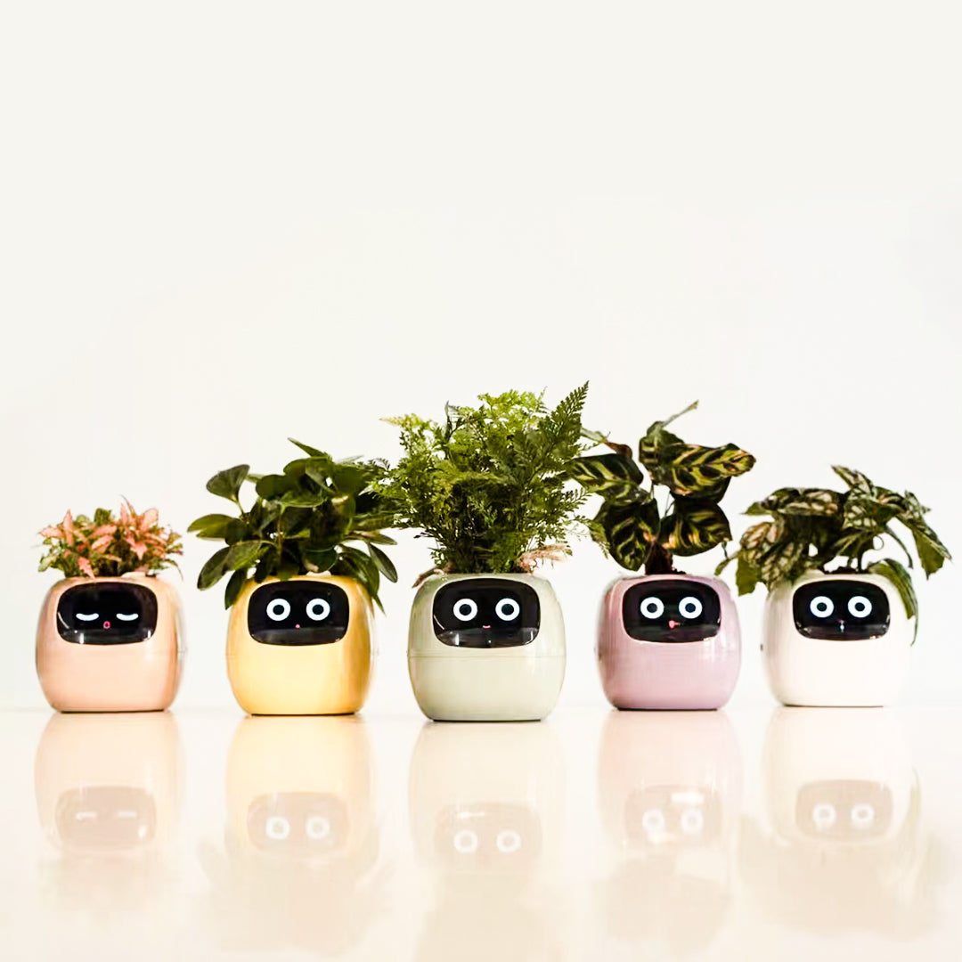 PlantBuddy™ | Slimme Plantenpot