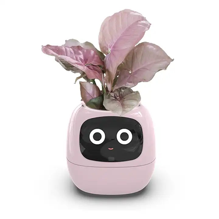 PlantBuddy™ | Slimme Plantenpot