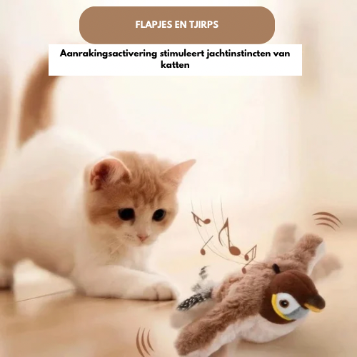 PurrfectPlay™ | Interactieve vogel