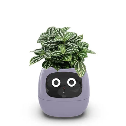 PlantBuddy™ | Slimme Plantenpot
