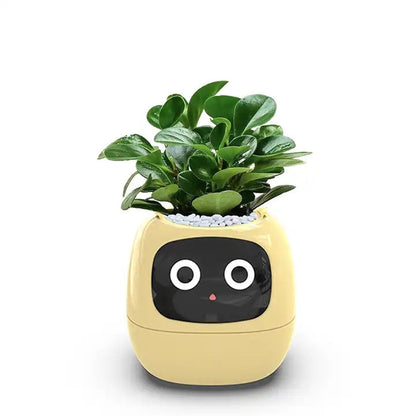 PlantBuddy™ | Slimme Plantenpot