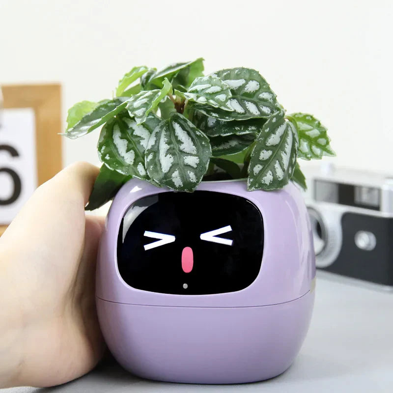 PlantBuddy™ | Slimme Plantenpot