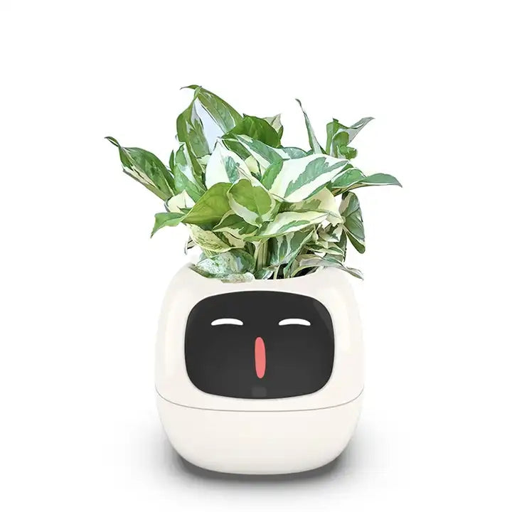 PlantBuddy™ | Slimme Plantenpot