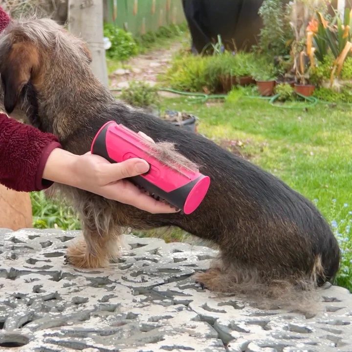PetLux™ | Dieren borstel