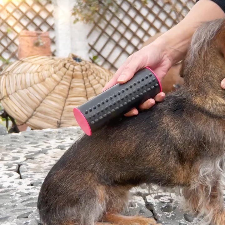 PetLux™ | Dieren borstel