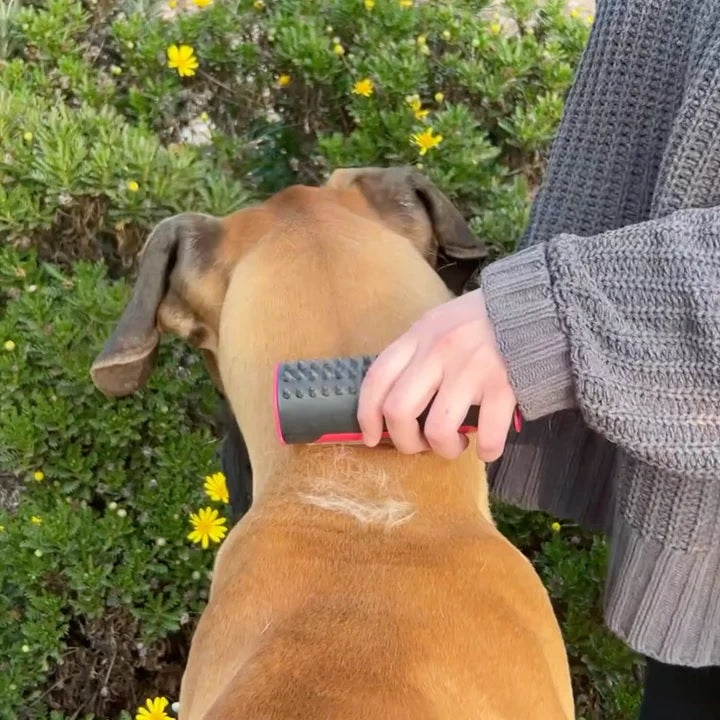 PetLux™ | Dieren borstel